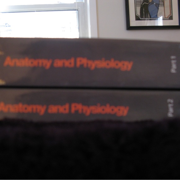 Openstax Anatomy and Physiology 2e Textbooks Part 1 and 2 - Picture 5 of 5